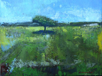 sommerlandschaft, grüne wiese mit baum, wenig blauer himmel