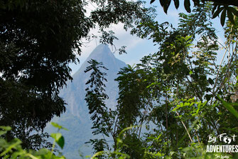 Knuckles Mountains, Sri Lanka, Wildlife, Conservation, Elephants, Safari, Leopard, Adventure, Lodge, Camp, Hike, Trekking, Hiking, Travelsrilanka, holiday, Elephant, Asian Elephant, Nationalpark, Guiding, Wildlife, Waterfall, Mountains