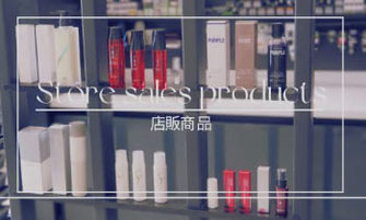 storesales product