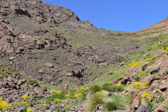 Espace de vol altimontain, Djebel Angour, Haut Atlas central, 2018, ©Frédérique Courtin-Tarrier  