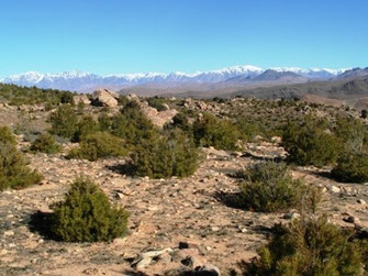 Biotope, Djebel Siroua, Anti-Atlas nord-oriental, ©Frédérique Courtin-Tarrier