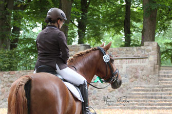 Reiterin in braunem Jacket und Helm sitzt auf einem braunen Pferd, Blick nach hinten gerichtet, im Hintergrund Bäume und eine Steinmauer.