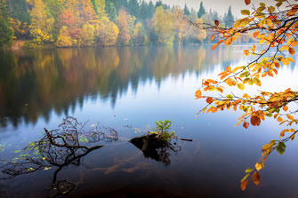 TeufelsmauerNationalpark-Harz, Naturmythenpfad, Silberteich-im-Herbst, Harzer-Wandernadel, Stempelstelle-148, romantischer-Harz, mystischer-Harz, Braunlage, wandern-im-Harz, Highlight-im-Harz, Harzfoto, Harz-Natur, Canonfoto, Canon, Canon-16-35mm