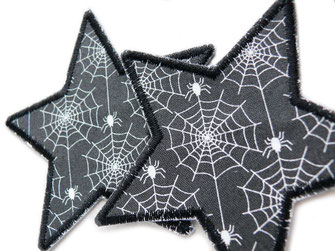 Bild: Bügelbild Stern mit Spinnennetz und Spinnen