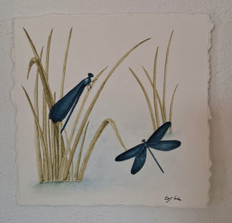 illustration aquarelle libellule demoiselles bleu eau ruisseau eyha peinture
