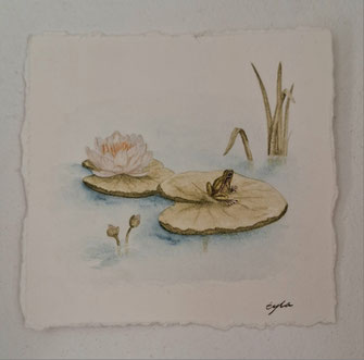 illustration aquarelle grenouille verte nénuphar bleu eau marre eyha peinture