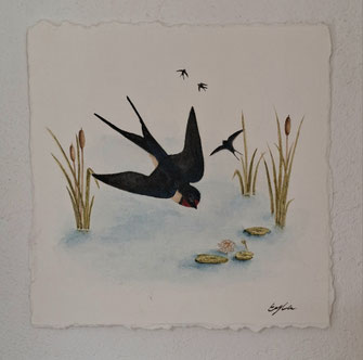 illustration aquarelle hirondelle rustique vol nenuphar roseau eau ruisseau eyha peinture