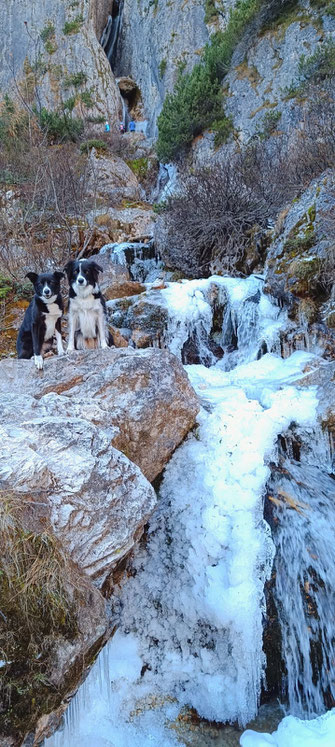 Wandern mit Hund im Gadertal; Winter; Pisciadú-Wasserfälle, Dolomiten