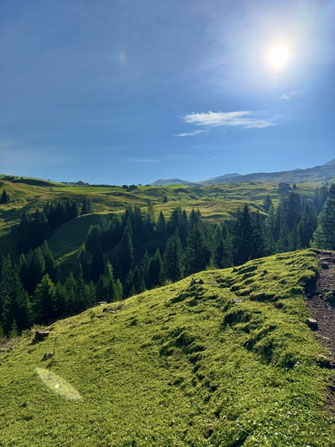 Wandern mit Hund im den Dolomiten - Übernachtung mit Hund auf der Seiser Alm