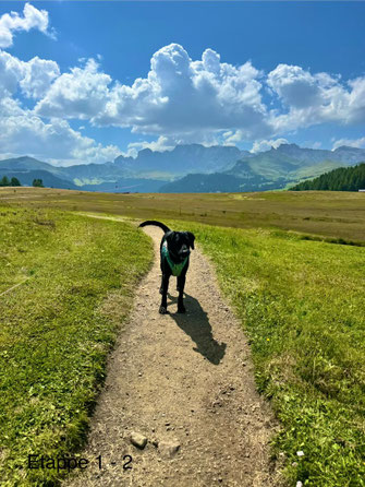 Wandern mit Hund im den Dolomiten - Übernachtung mit Hund auf der Seiser Alm