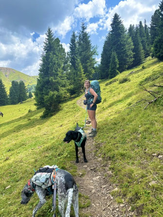 Wandern mit Hund im den Dolomiten - Übernachtung mit Hund auf der Seiser Alm