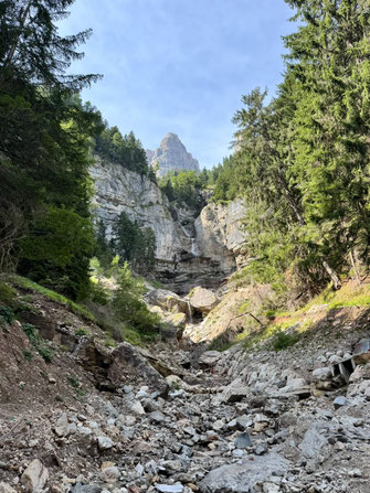 Wandern mit Hund im den Dolomiten - Übernachtung mit Hund auf der Seiser Alm