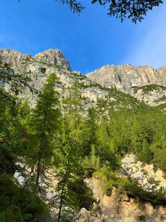 Wandern mit Hund im den Dolomiten - Übernachtung mit Hund auf der Seiser Alm