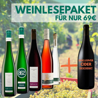 Flaschenpost Dry January Staffelter Hof alkoholfreie Produkte kaufen