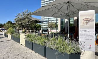 Terrasse im Park mit einem Windschutz aus ESG glas und Aluminium mit Sirtbank und PflanzenGlas 