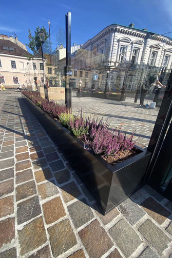Glas-Balustrade mit integriertem Pflanzgefäß als Windschutz für die Außengastronomie