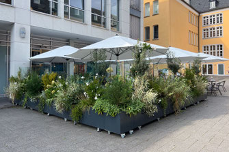 Grüne Oase in der Innenstadt mit Windschutz