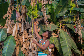 障がい者スポーツ支援｜ユニバーサルな社会の実現に向けて、障がい者スポーツの啓発・理解促進やイベントづくり、金銭的なサポートなどを行っています。