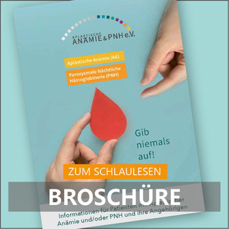 Zum Schlaulesen: Broschüre