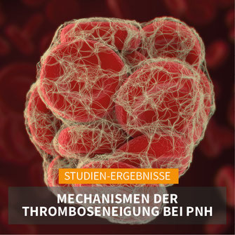 Studien-Ergebnisse: Mechanismen der Thromboseneigung bei PNH.