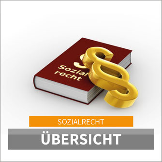 Sozialrecht: Übersicht