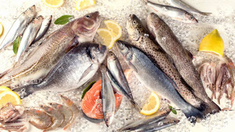Frischfisch
