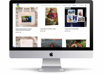 diseño de paginas web – diseño web – diseño paginas web - desarrollo de paginas web - diseño de sitios web