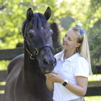 New Forest Pony Merlin erholt sich im Herbst von seinem Sommerekzem