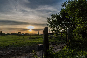 Sonnenuntergang mit Tor zur Weide