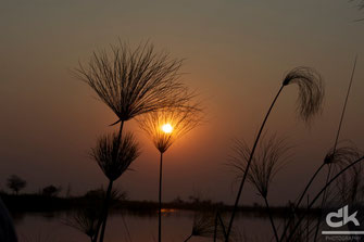 Sonnenuntergang beim Little Vumbua Camp