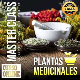 Curso Online, Aprende Plantas Medicinales, 