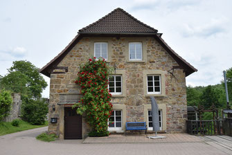 Fassadenbegrünung Kletterpflanzen Kletterrose Haus Fassade