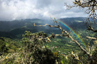 Vista de la densa selva de La Piedra de Lino con arco iris incluido.
