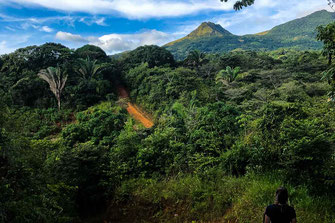 Sentier de randonnée à travers une jungle dense avec le Cerro Tute en arrière-plan.