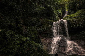 Alto de Piedra waterfall surrounded by dense greenery.