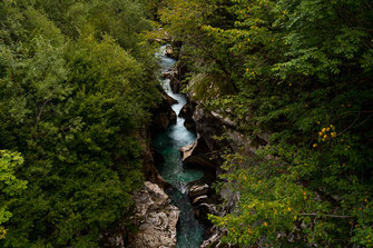 Der felsige Soča Canyon ist mit Bäumen bewachsen.