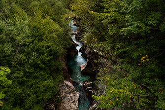 Der felsige Soča Canyon ist mit Bäumen bewachsen.