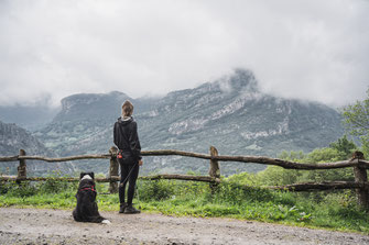 Eine Frau steht an einer Wiese und blickt mit ihren Hund auf die umliegenden Berge.