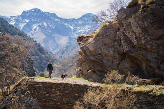 Ein Mann wandert einen Weg entlang, im Hintergrund die Berge von Sierra Nevada.