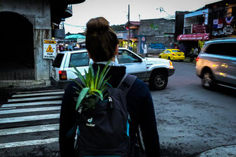 Woman with pineapple in backpack on busy street.