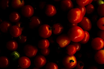 Close-ups of red tomatoes at a market in Chiang Mai.