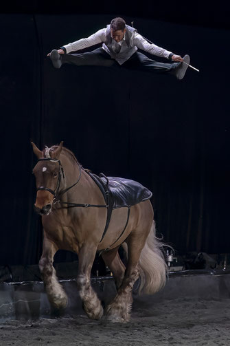 Photographe equin fete du cheval equitalyon jumping horse cso competition equestre