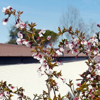 Progetto terrazzo Mestre Noale Mirano Martellago Marcon Mogliano