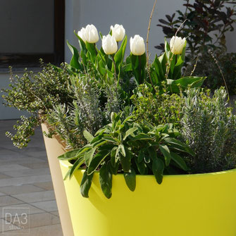 Progetto terrazzo Mestre Noale Mirano Martellago Marcon Mogliano