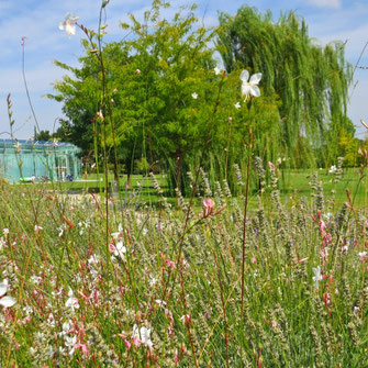 da3studio da3 studio architetto paesaggista venezia progetti giardini