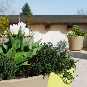 Progetto terrazzo Mestre Noale Mirano Martellago Marcon Mogliano
