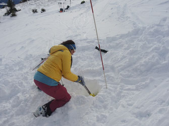 Lawinenkurs mit Bergführer, Lawinenausbildung, Schnee und Lawinenkunde, Schneeprofil, avalanache course with certified mountainguide, skiguide, guide, LVS Suche mit Bergführer, Pieps Suche, Lawinentraining, avalanche training, 