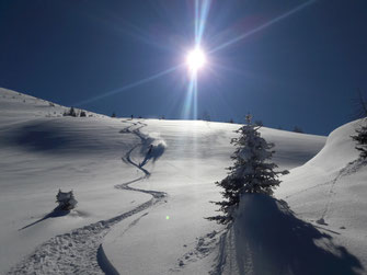 freeride in obertauern, Freeriden Obertauern mit bergführer, freeride, offpiste, backcountry skiing, offslope skiing in Obertauern with certified mountainguide, skiguide, local guide, geführte Freeride Tour in Obertauern, Freeride mit Bergführer, mountain