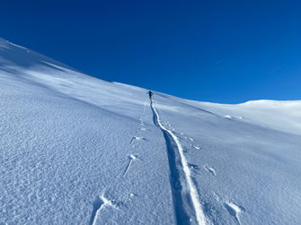 Skitouren in und um Obertauern, Skitour Obertauern mit Bergführer, skitour in Obertauern with mountainguide, skiguide, ski touring course, ski touring education, Pleisslingkeil, Glöcknerin, avalanche course, certified guide, local guide, klaus gruber, 