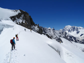 Hochtourenkurs mit Bergführer, Hochtouren Ausbildung, Spaltenbergung, Gletscher Ausbildung, Gletscher Kurs, Viertausender mit Bergführer, 4000er mit Bergführer, mountainguide, ice course, glacier course, Klaus Gruber